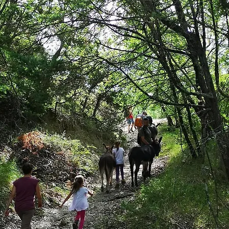 Nocleg ze śniadaniem Il Canto Dell'asino