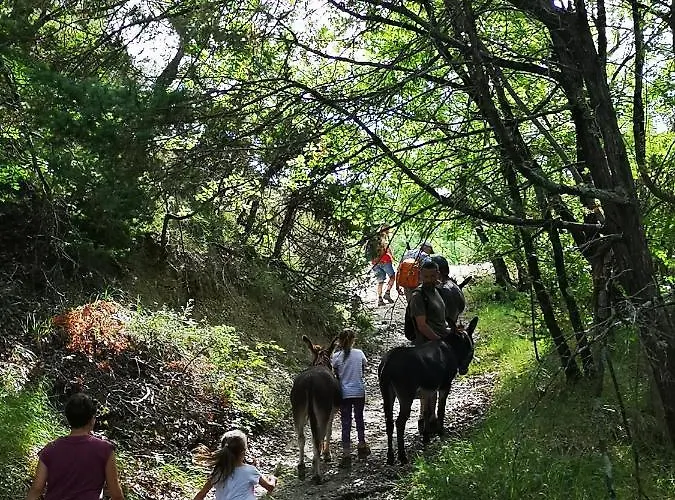 Alojamento de Acomodação e Pequeno-almoço Il Canto Dell'asino